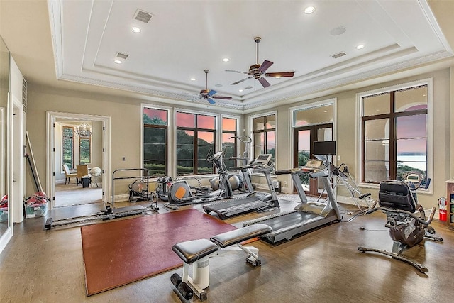 12821 Park Dr, Austin, TX 78732 - workout area with a raised ceiling, a ceiling fan, ornamental molding, and recessed lighting