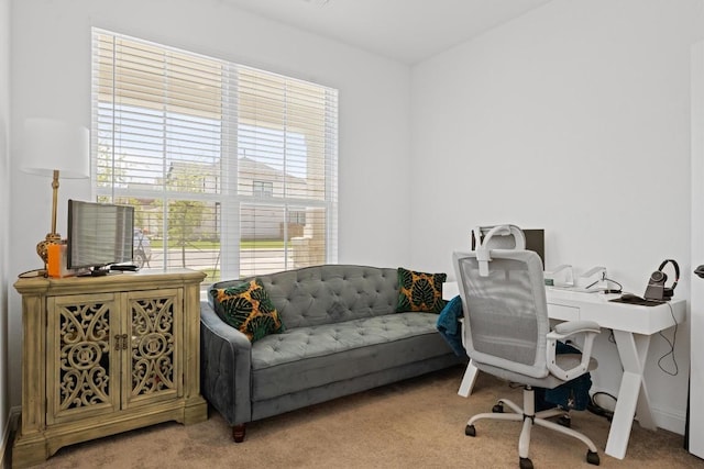 400 Turnbuckle Bnd, Leander, TX 78641 - view of carpeted office