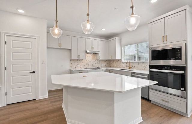 2725 Woodall Dr Unit 1601, Cedar Park, TX 78613 - kitchen with stainless steel appliances, under cabinet range hood, decorative backsplash, a sink, and light wood-type flooring