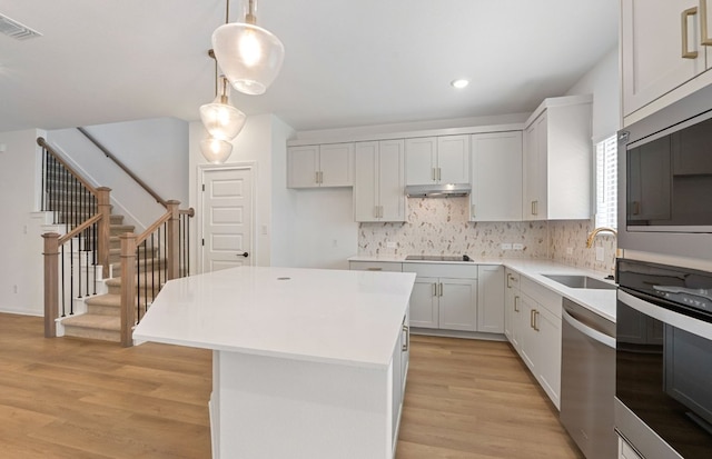 2725 Woodall Dr Unit 1601, Cedar Park, TX 78613 - kitchen featuring stainless steel appliances, a sink, under cabinet range hood, decorative backsplash, and light wood-style floors