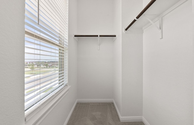 2725 Woodall Dr Unit 1601, Cedar Park, TX 78613 - spacious closet with carpet
