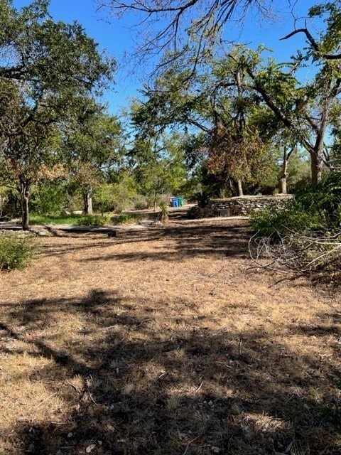 4605 Eck Ln, Austin, TX 78734 - view of yard