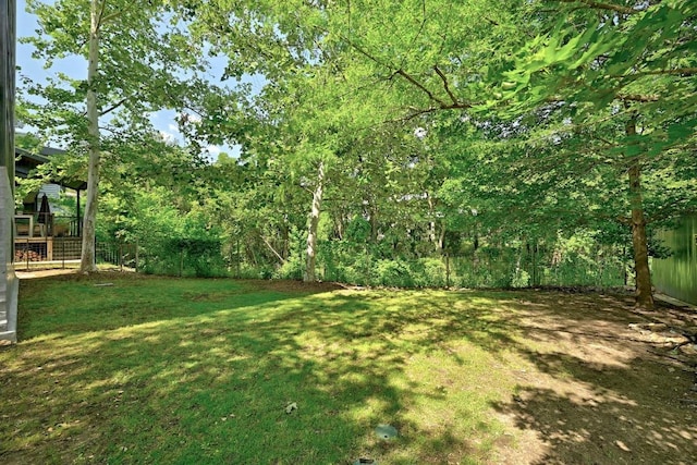 1700 S 6th St, Austin, TX 78704 - view of yard