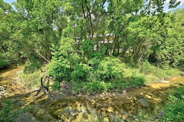 1700 S 6th St, Austin, TX 78704 - view of nature