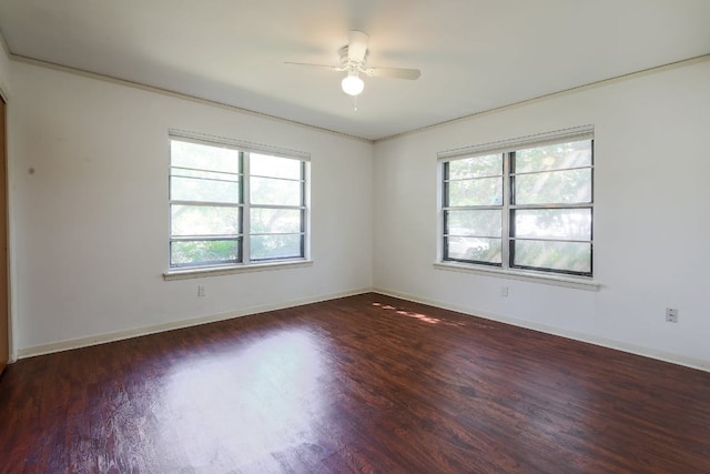 1005 Salem Ln, Austin, TX 78753 - photo 27