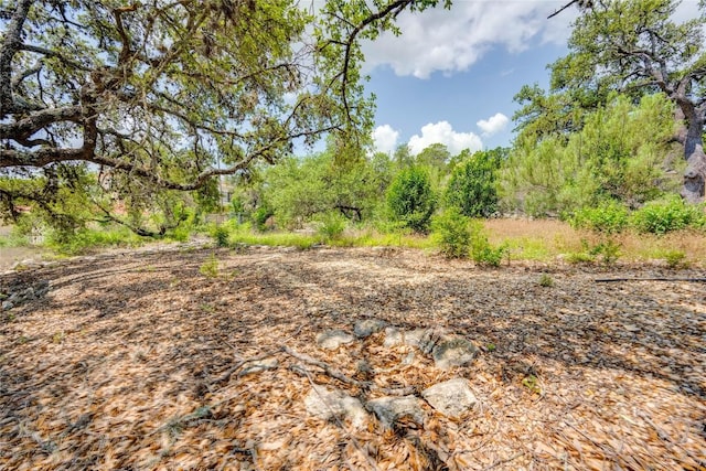 13203 Mansfield Dr, Austin, TX 78732 - photo 9