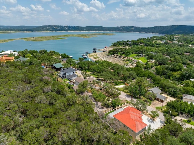 13203 Mansfield Dr, Austin, TX 78732 - photo 18