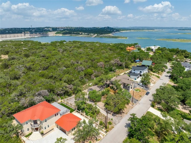 13203 Mansfield Dr, Austin, TX 78732 - photo 1