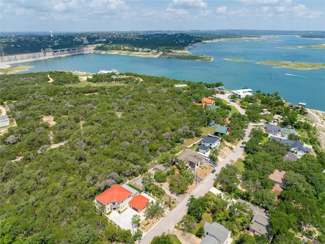13203 Mansfield Dr, Austin, TX 78732 - photo 25
