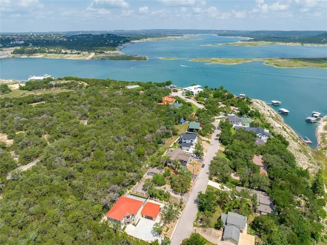 13203 Mansfield Dr, Austin, TX 78732 - photo 26