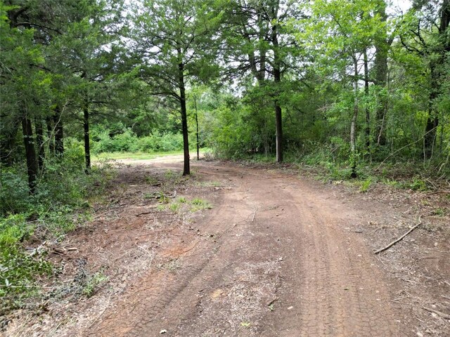 891 Cedar Creek Rd, Caldwell, TX 77836 - photo 4