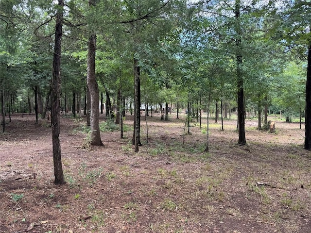 891 Cedar Creek Rd, Caldwell, TX 77836 - photo 14