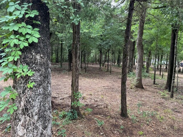 891 Cedar Creek Rd, Caldwell, TX 77836 - photo 15