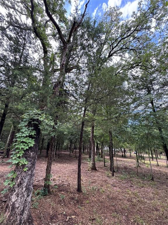 891 Cedar Creek Rd, Caldwell, TX 77836 - photo 16