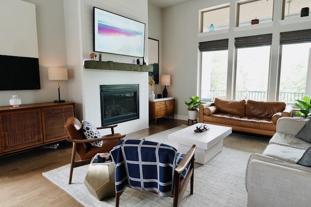 114 Loysoya St, Bastrop, TX 78602 - living area featuring wood finished floors and a fireplace