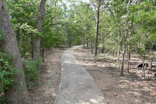 114 Loysoya St, Bastrop, TX 78602 - surrounding community with a view of trees