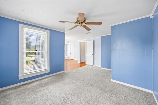 1223 Cecelia St, Taylor, TX 76574 - unfurnished room featuring carpet flooring, ornamental molding, and ceiling fan