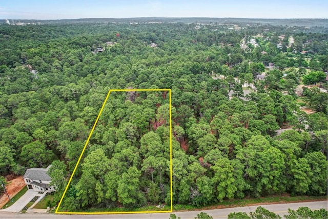 TBD Kaanapalli Ln, Bastrop, TX 78602 - photo 1