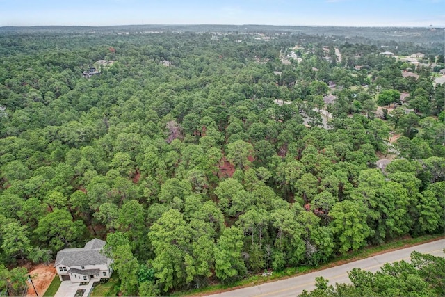 TBD Kaanapalli Ln, Bastrop, TX 78602 - photo 3