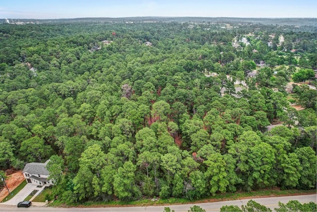 TBD Kaanapalli Ln, Bastrop, TX 78602 - photo 4