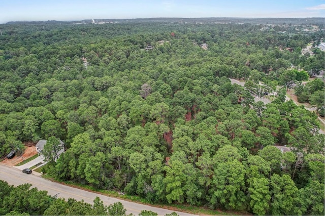 TBD Kaanapalli Ln, Bastrop, TX 78602 - photo 5