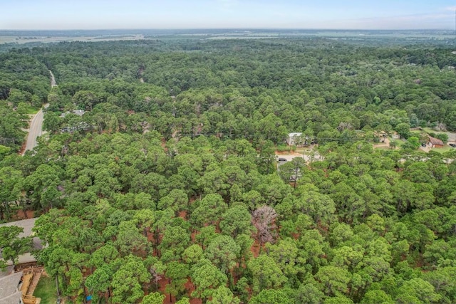 TBD Kaanapalli Ln, Bastrop, TX 78602 - photo 6