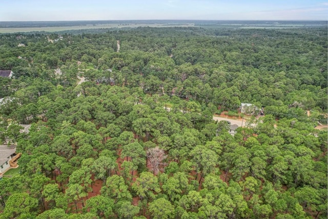 TBD Kaanapalli Ln, Bastrop, TX 78602 - photo 8