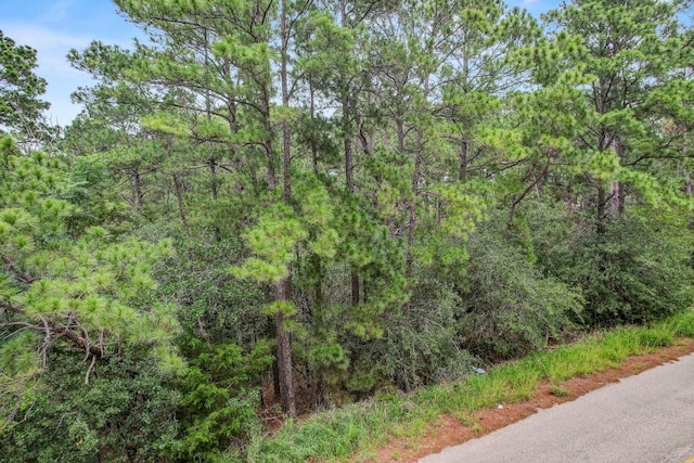 TBD Kaanapalli Ln, Bastrop, TX 78602 - photo 10