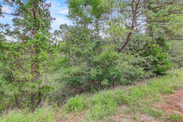 TBD Kaanapalli Ln, Bastrop, TX 78602 - photo 11