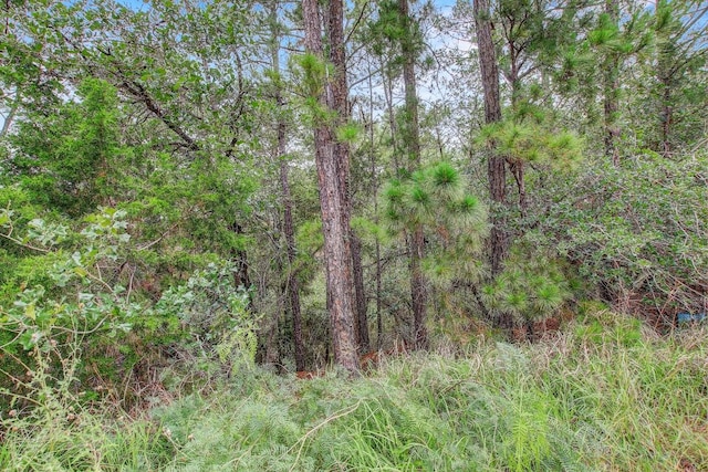 TBD Kaanapalli Ln, Bastrop, TX 78602 - photo 12