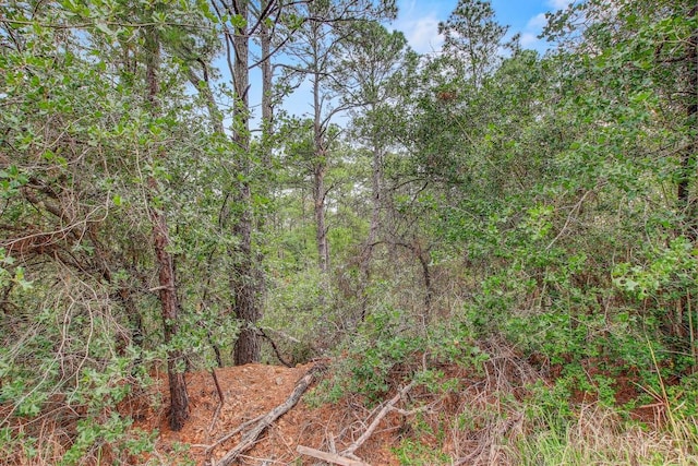 TBD Kaanapalli Ln, Bastrop, TX 78602 - photo 13