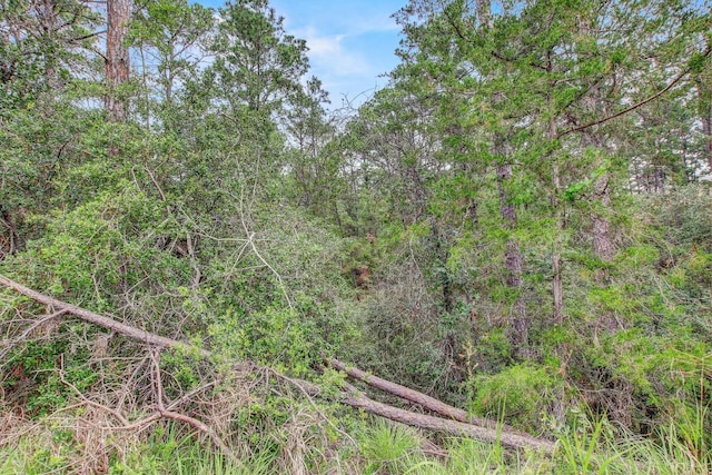 TBD Kaanapalli Ln, Bastrop, TX 78602 - photo 14