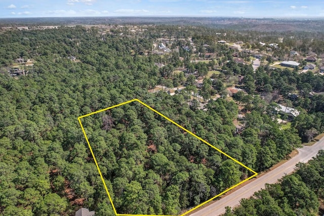 TBD Kaanapalli Ln, Bastrop, TX 78602 - photo 15