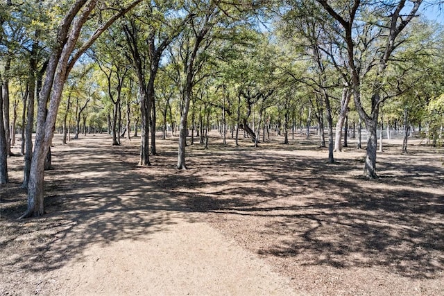 6800 Menchaca Rd Unit 37, Austin, TX 78745 - photo 25