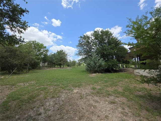 13143 Elm Grove Rd, Buda, TX 78610 - photo 30