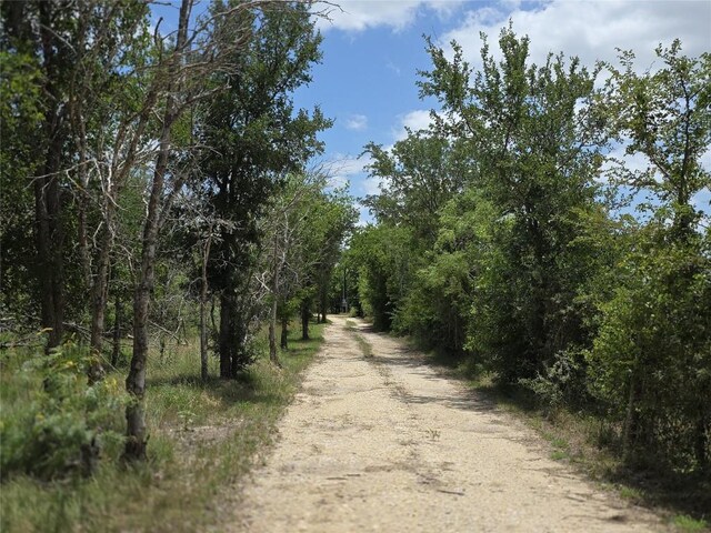 13143 Elm Grove Rd, Buda, TX 78610 - photo 32