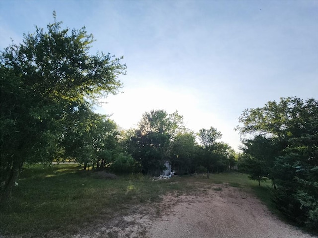 13143 Elm Grove Rd, Buda, TX 78610 - photo 33