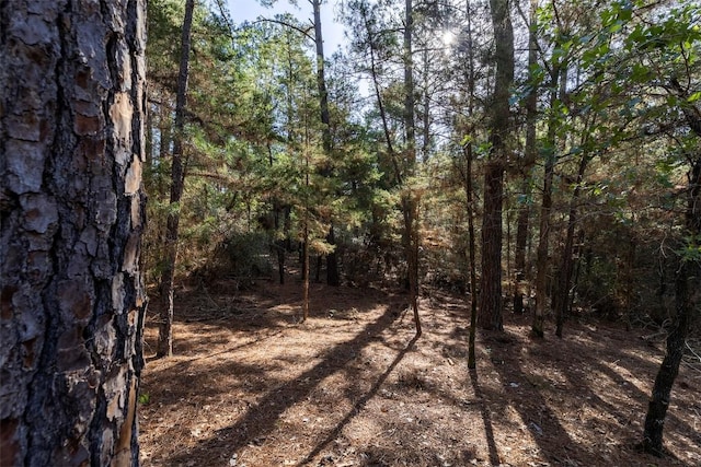 133 Wainee Dr, Bastrop, TX 78602