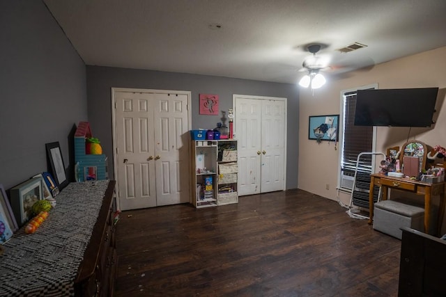 178 Ann Powell Rd, Smithville, TX 78957 - bedroom featuring multiple closets and dark wood-type flooring