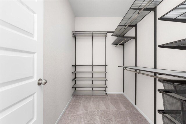 2800 Joe Dimaggio Blvd Unit 100, Round Rock, TX 78665 - walk in closet featuring carpet