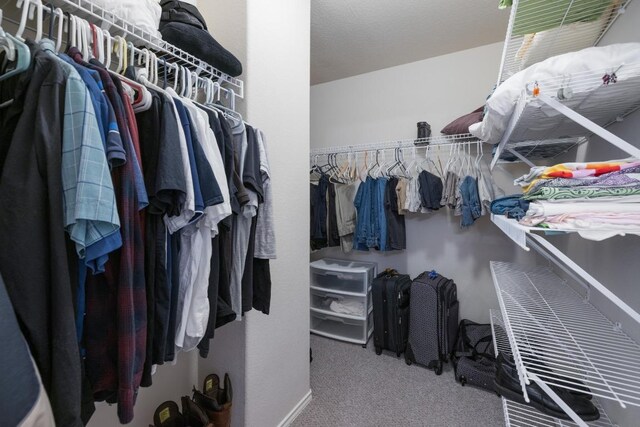 1813 Indian Lodge Dr, Cedar Park, TX 78613 - spacious closet with carpet
