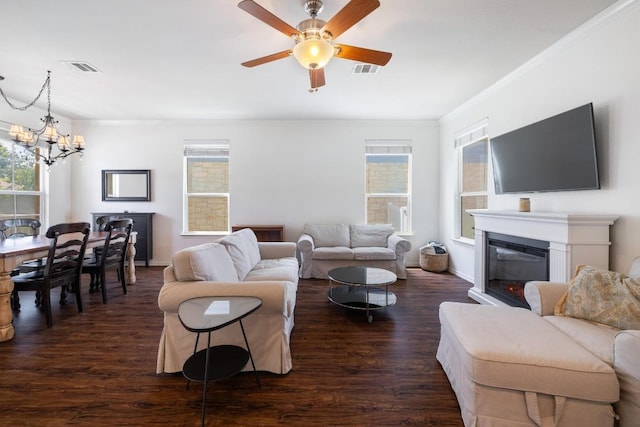 1813 Indian Lodge Dr, Cedar Park, TX 78613 - living area with a chandelier, dark wood finished floors, a glass covered fireplace, ceiling fan, and crown molding