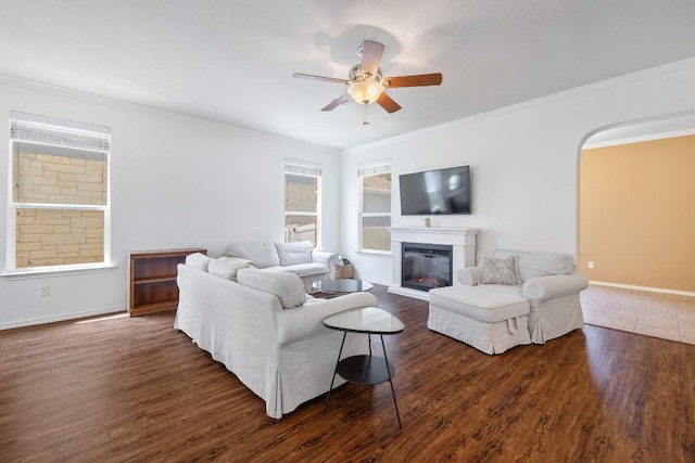 1813 Indian Lodge Dr, Cedar Park, TX 78613 - living room featuring a ceiling fan, healthy amount of natural light, a glass covered fireplace, ornamental molding, and wood finished floors