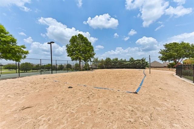 104 Blue Agave Ln, Georgetown, TX 78626 - surrounding community with volleyball court