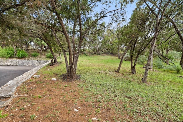 108 Highlander St, Lakeway, TX 78734 - view of yard