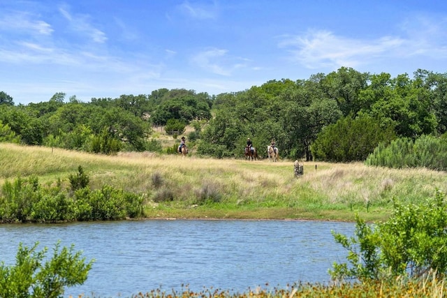 577 Cattle Creek Rd, Johnson City, TX 78636 - water view