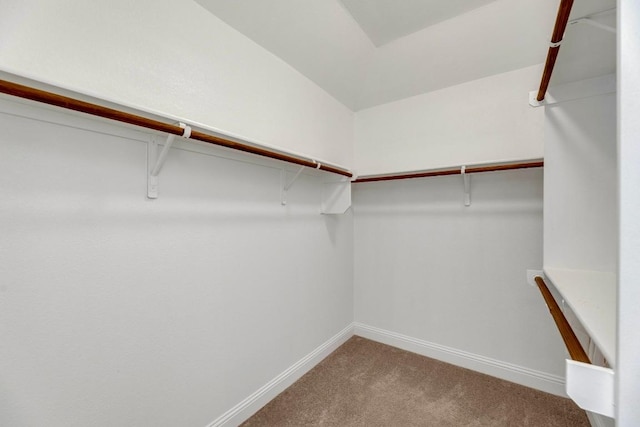 3546 Guadalajara St, Round Rock, TX 78665 - walk in closet with carpet