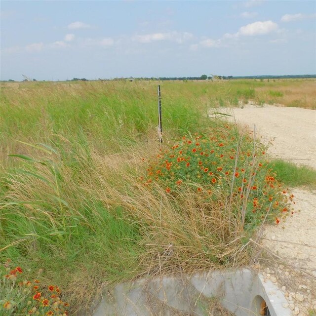 151 County Road 469, Coupland, TX 78615 - photo 4