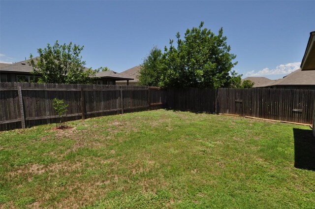 16805 Ruggio Rd, Pflugerville, TX 78660 - view of yard