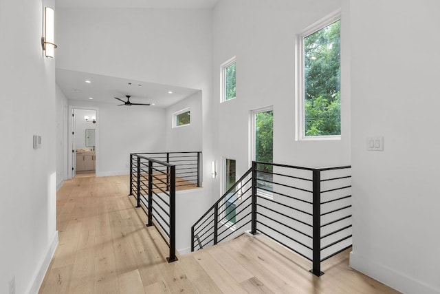 1119 Fairmount Ave, Austin, TX 78704 - photo 19